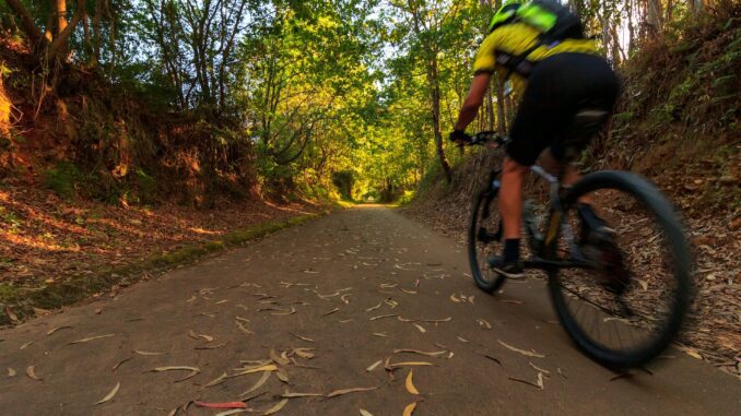 Game Reserves with Mountain Biking Trails