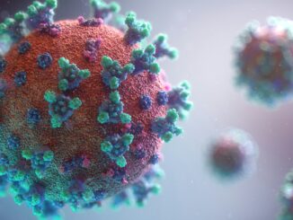 Marburg virus outbreak